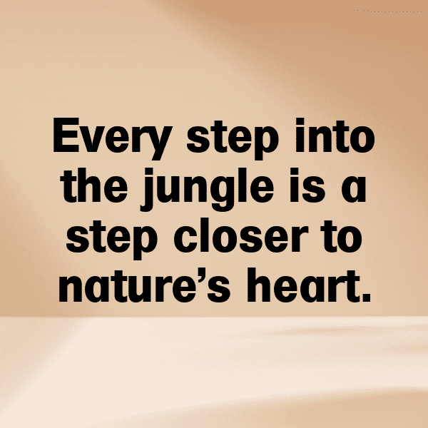 Jungle Trek Captions Photo for Instagram-AcbzCG