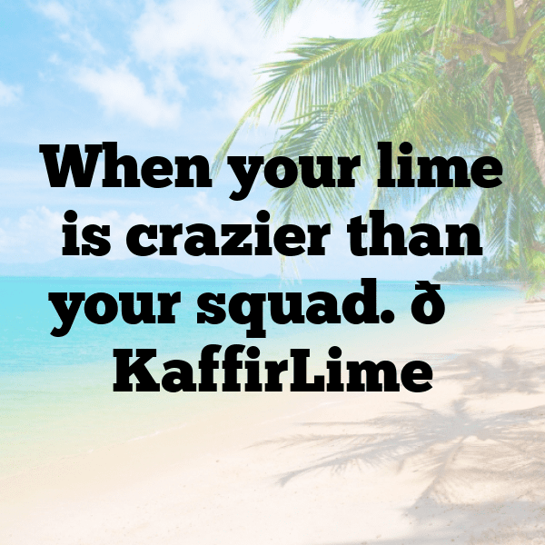 Kaffir Lime Captions Photo For Instagram-2gzql1