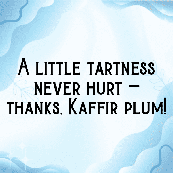 Kaffir Plum Captions Photo For Instagram-AhJoVM