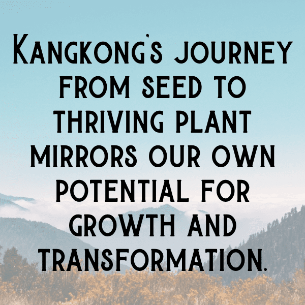 Kang Kong Captions Photo For Instagram-GBxz4M