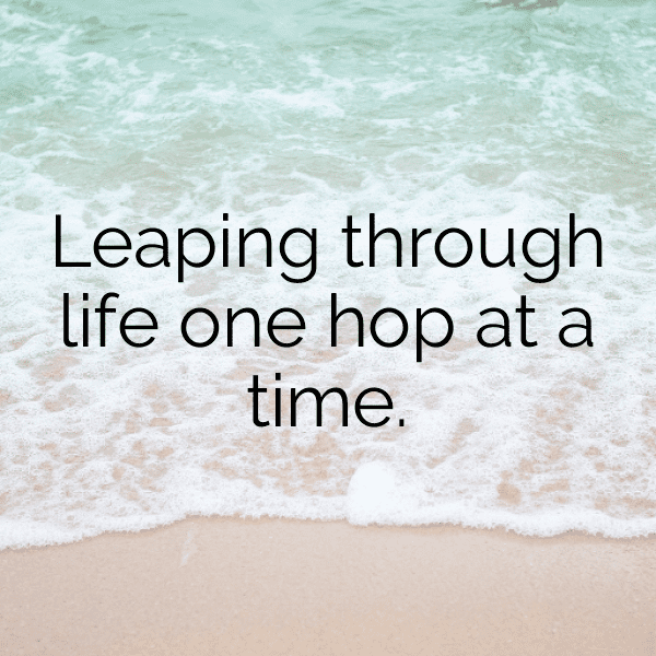 Kangaroo Captions Image For Instagram-jt6Uwb