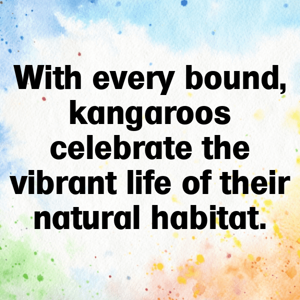 Kangaroo Captions Image For Instagram-sQZ15R
