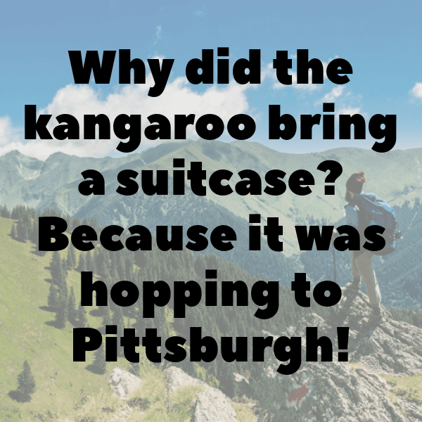 Kangaroo Captions Photo For Instagram-aIfx7T