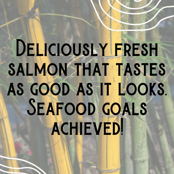 Kangaroo Captions Photo For Instagram-WfNj9C