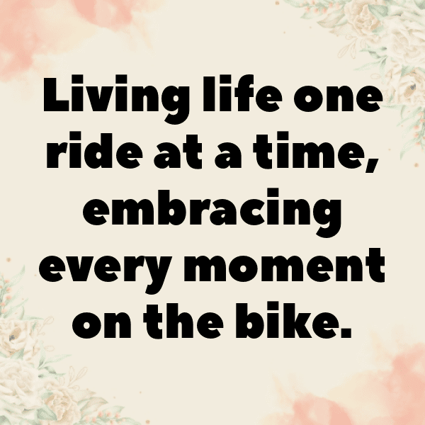 Kawasaki Concours Captions Image for Instagram-JWg0uH