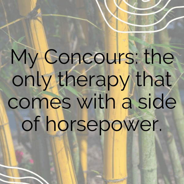 Kawasaki Concours Captions Photo for Instagram-UOwjD7