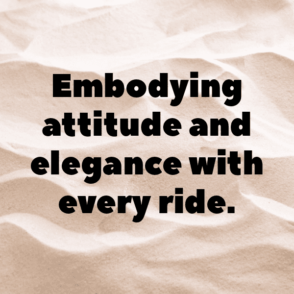 346+ Kawasaki Versys 650 Captions for Instagram (Best, Funny & Short) 3 Kawasaki Versys 650 Captions Photo for Instagram-uaNlN1