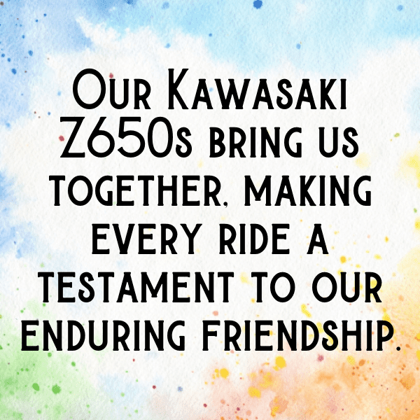 Kawasaki Z650 Captions Image for Instagram-khAwzG