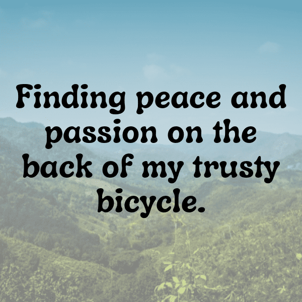 Kawasaki Z900 Captions Image for Instagram-m1ZK4w