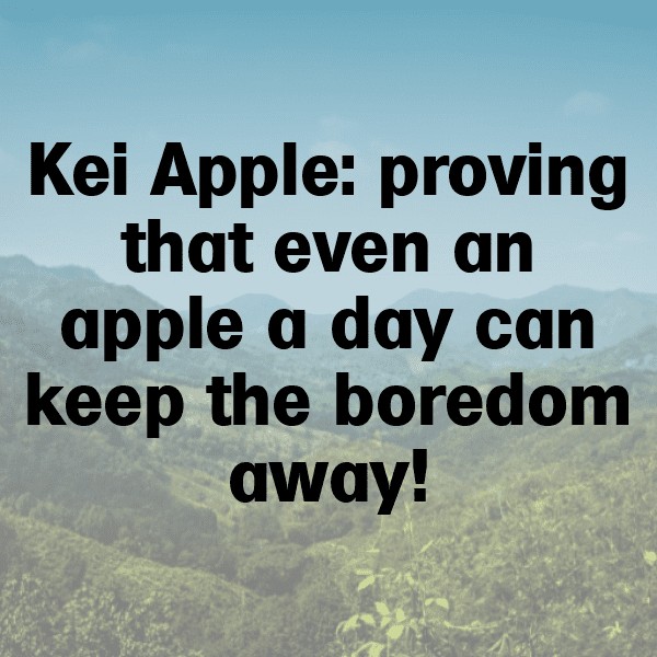 Kei Apple Captions Photo For Instagram-ZXnLyd