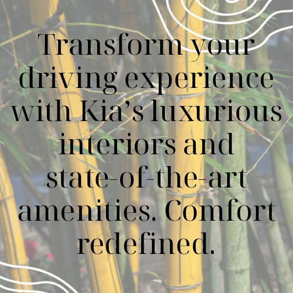 218+ Kia Optima Captions for Instagram (Trending, Funny & Top) 10 Kia Optima Captions Image for Instagram-oM9AW8