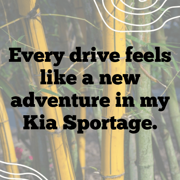 260+ Kia Sportage Captions for Instagram (Fresh & Trendy) 4 Kia Sportage Captions Image for Instagram-jVGaWw