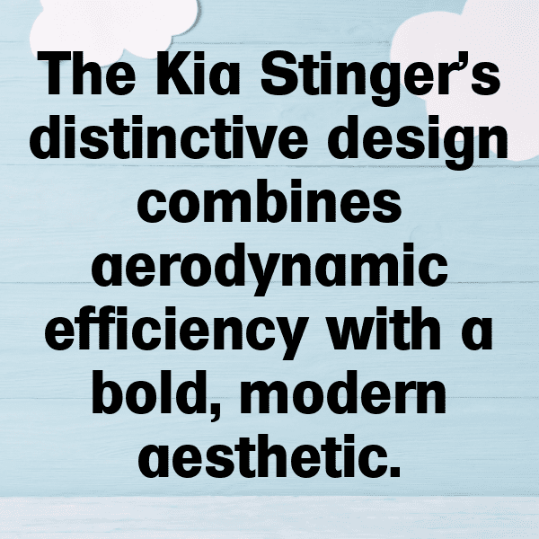 Kia Stinger Captions Photo for Instagram-YXWcyN