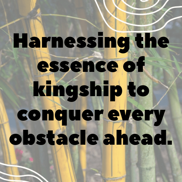 King of Fighters Captions Photo for Instagram-h073b2