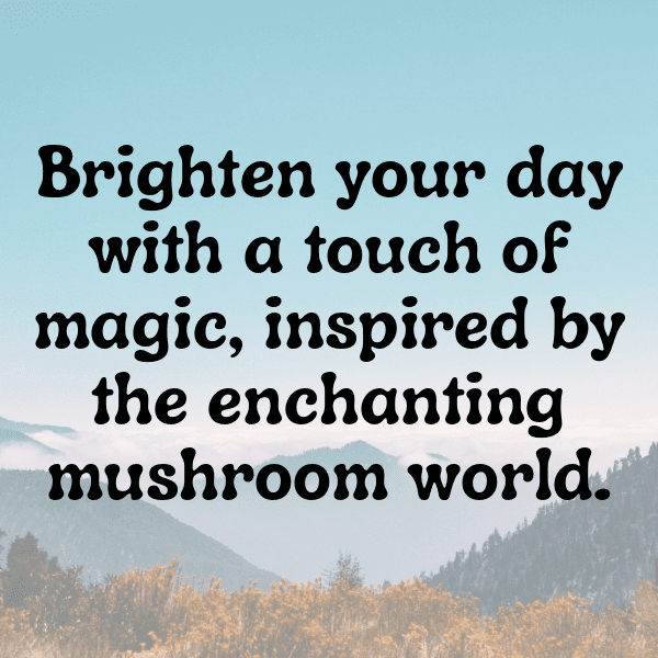 253+ King Oyster Mushroom Captions For Instagram (Short, Trending & Viral) 3 King Oyster Mushroom Captions Image For Instagram-j14Cv2