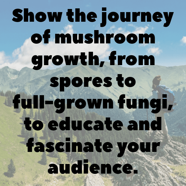 253+ King Oyster Mushroom Captions For Instagram (Short, Trending & Viral) 11 King Oyster Mushroom Captions Image For Instagram-PEkDVW