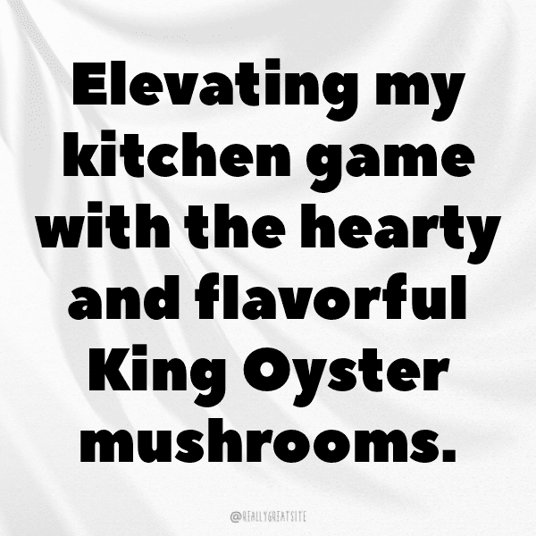 253+ King Oyster Mushroom Captions For Instagram (Short, Trending & Viral) 4 King Oyster Mushroom Captions Image For Instagram-Q0Zpwh
