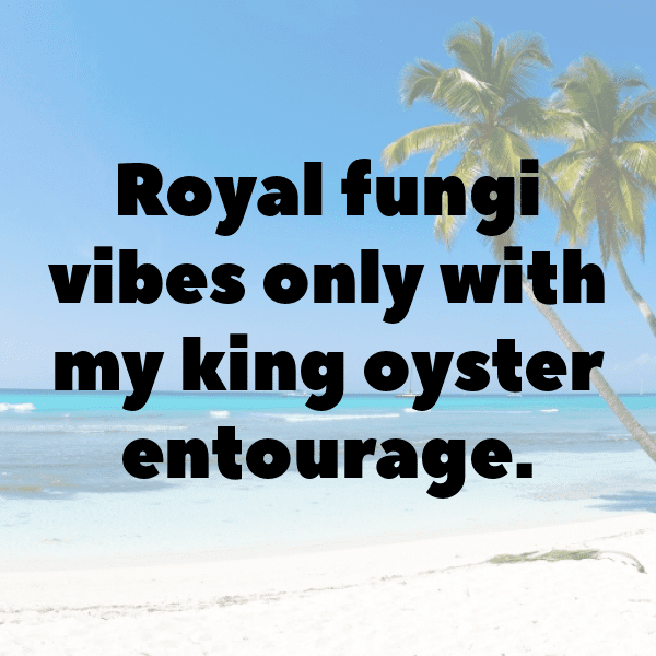 253+ King Oyster Mushroom Captions For Instagram (Short, Trending & Viral) 5 King Oyster Mushroom Captions Photo For Instagram-dT69gn