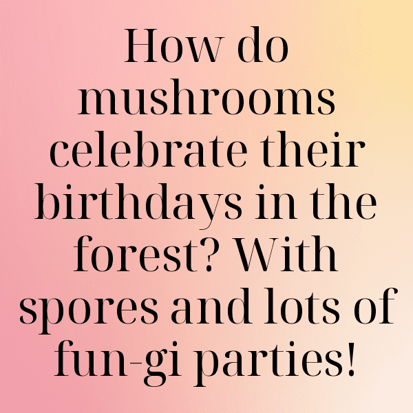 253+ King Oyster Mushroom Captions For Instagram (Short, Trending & Viral) 9 King Oyster Mushroom Captions Photo For Instagram-JCC9rU