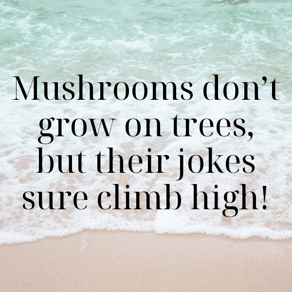 253+ King Oyster Mushroom Captions For Instagram (Short, Trending & Viral) 7 King Oyster Mushroom Captions Photo For Instagram-rHfmA7