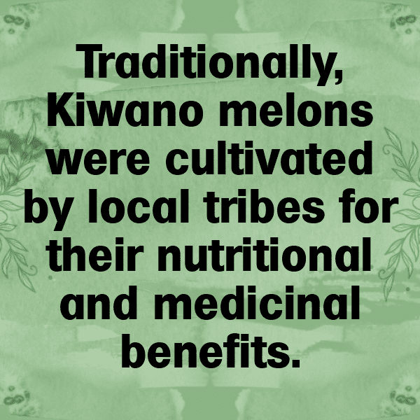 Kiwano Captions Image For Instagram-9PtYsz
