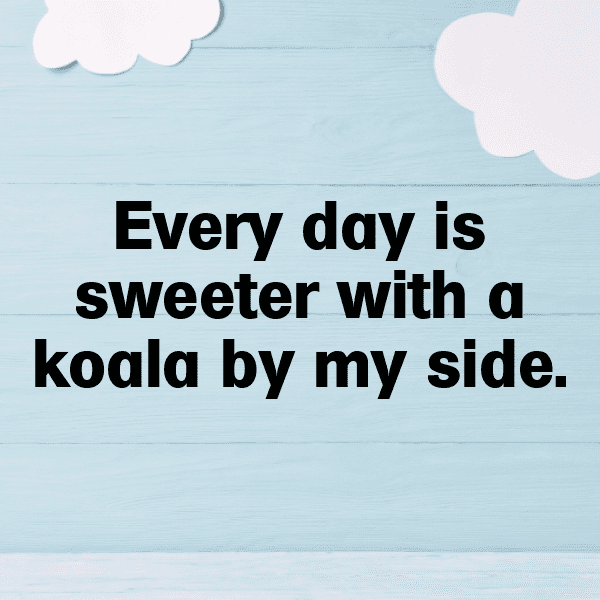 Koala Captions Image For Instagram-lp8i5u