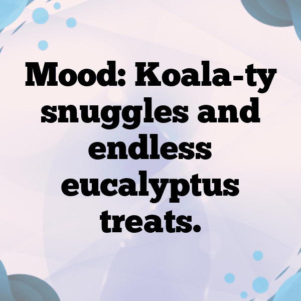 Koala Captions Photo For Instagram-gGbm7n