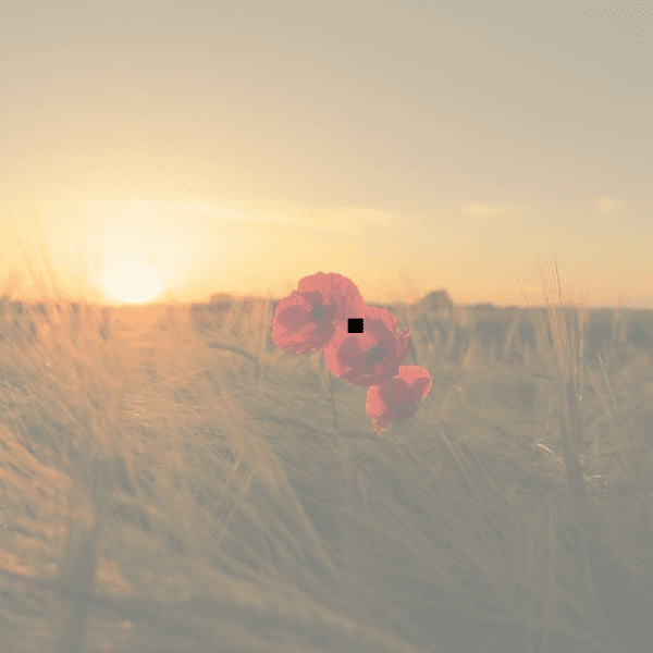 Korlan Captions Image For Instagram-BZd12r