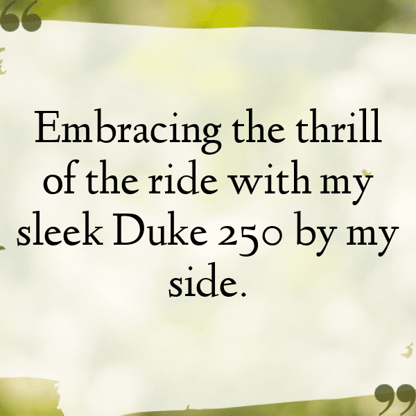 318+ KTM 250 Duke Captions for Instagram (Short, Trending & Viral) 8 KTM 250 Duke Captions Photo for Instagram-7XiHrn