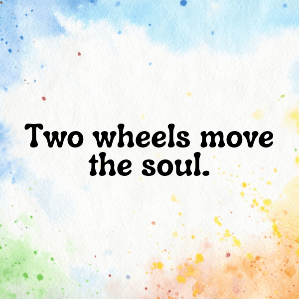 272+ KTM 790 Adventure Captions for Instagram In 2025 3 KTM 790 Adventure Captions Image for Instagram-beFhZb