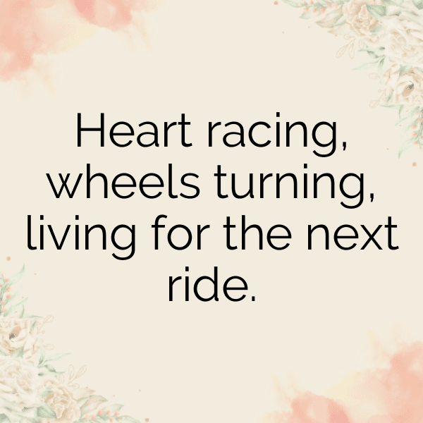 272+ KTM 790 Adventure Captions for Instagram In 2025 5 KTM 790 Adventure Captions Image for Instagram-EompA2