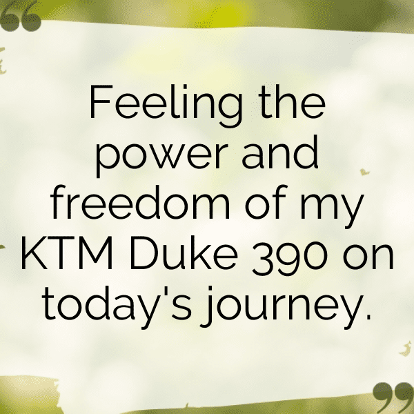 209+ KTM 890 Duke Captions for Instagram (Short, Trending & Viral) 13 KTM 890 Duke Captions Image for Instagram-C8uBSB