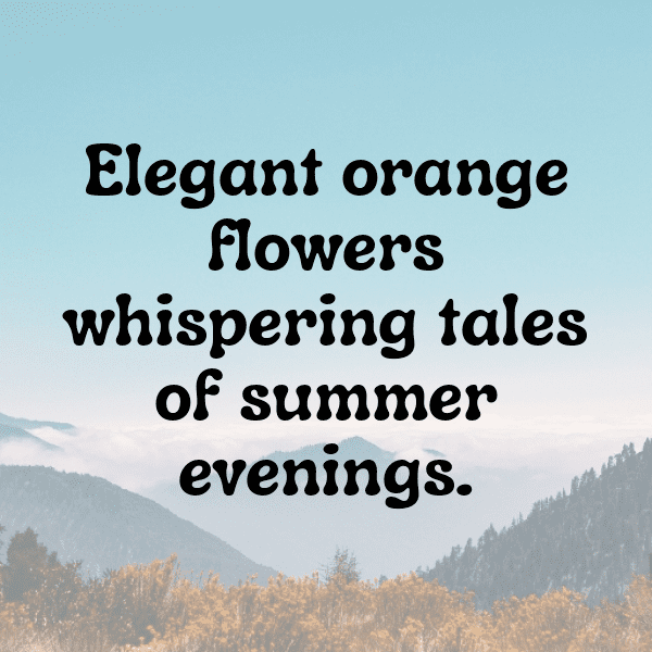 262+ Kumquat Captions For Instagram (Fresh & Trendy) 7 Kumquat Captions Image For Instagram-AT5OGY