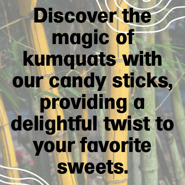 262+ Kumquat Captions For Instagram (Fresh & Trendy) 11 Kumquat Captions Image For Instagram-eU2m20