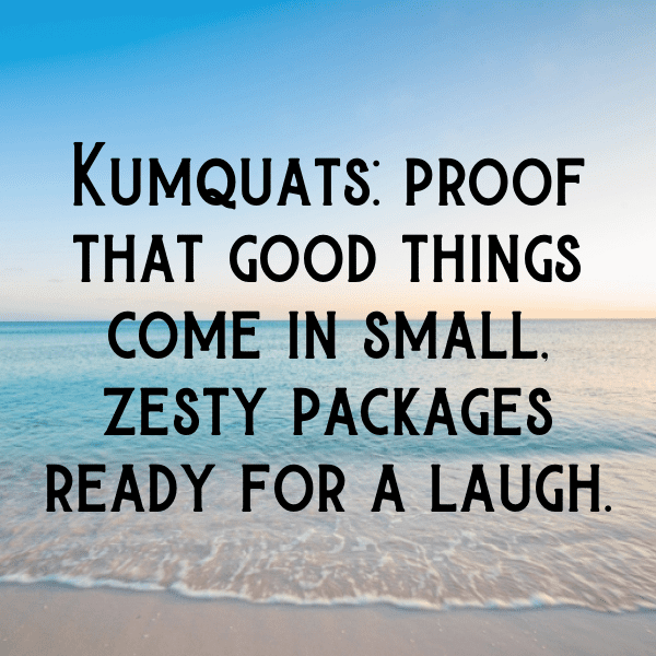 262+ Kumquat Captions For Instagram (Fresh & Trendy) 3 Kumquat Captions Image For Instagram-tk8SZB