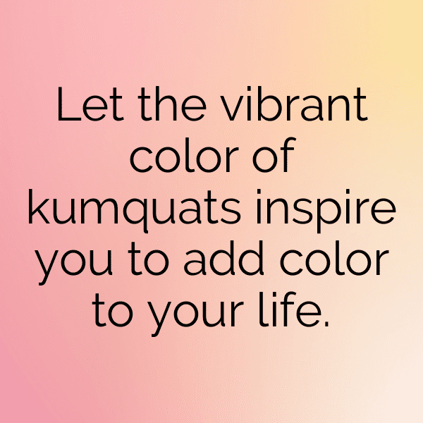 262+ Kumquat Captions For Instagram (Fresh & Trendy) 13 Kumquat Captions Photo For Instagram-gb6mHT