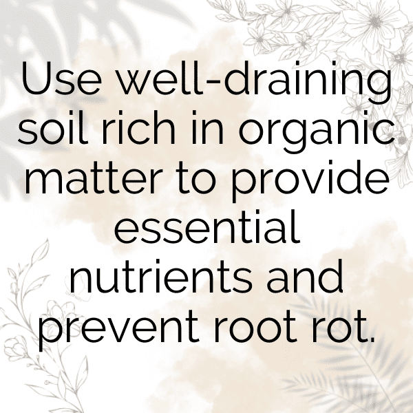 262+ Kumquat Captions For Instagram (Fresh & Trendy) 12 Kumquat Captions Photo For Instagram-O24O7T