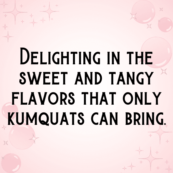 262+ Kumquat Captions For Instagram (Fresh & Trendy) 5 Kumquat Captions Photo For Instagram-pTlNSc