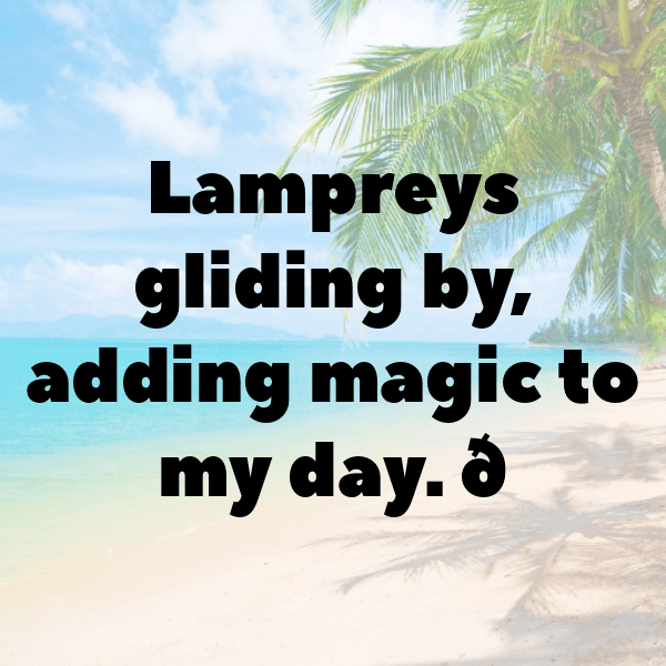 Lamprey Captions Photo For Instagram-GPa1z2