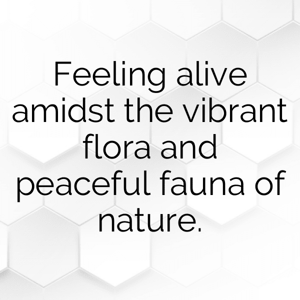 226+ Land Cress Captions For Instagram (Fresh & Trendy) 3 Land Cress Captions Image For Instagram-aJbjTe