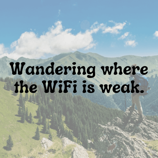 226+ Land Cress Captions For Instagram (Fresh & Trendy) 9 Land Cress Captions Image For Instagram-KmC3iU