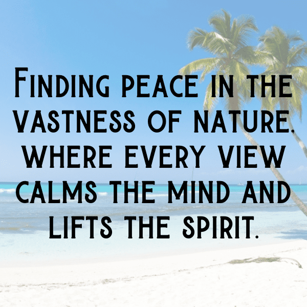 226+ Land Cress Captions For Instagram (Fresh & Trendy) 12 Land Cress Captions Photo For Instagram-3kYPZ3