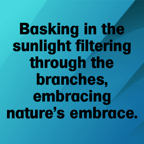 226+ Land Cress Captions For Instagram (Fresh & Trendy) 6 Land Cress Captions Photo For Instagram-96tDQn