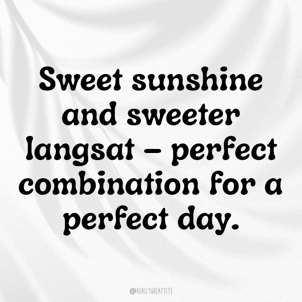 251+ Langsat Captions For Instagram In 2025 6 Langsat Captions Image For Instagram-5ADpwR