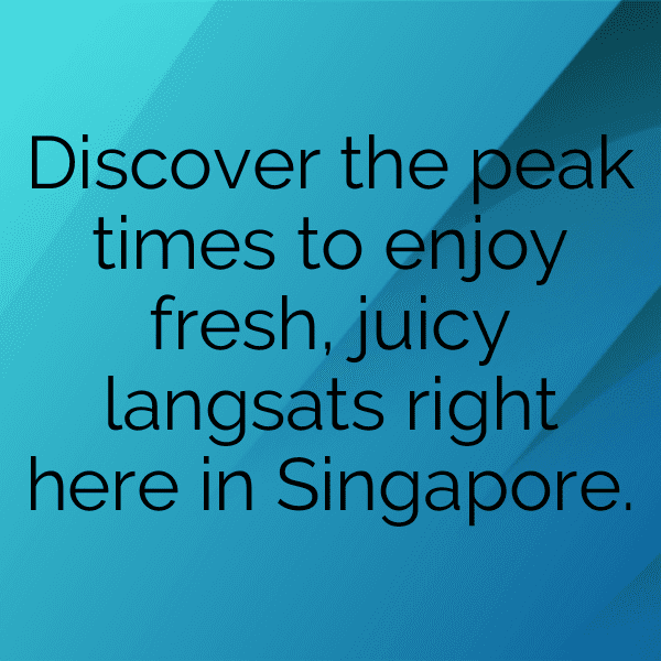 251+ Langsat Captions For Instagram In 2025 14 Langsat Captions Image For Instagram-PmmV2R