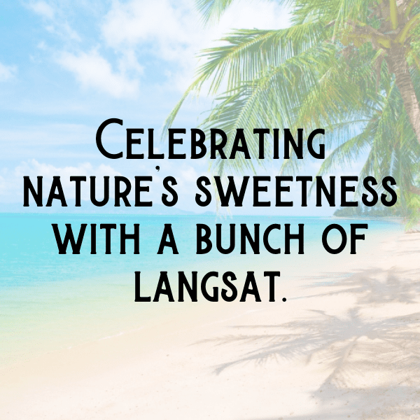 251+ Langsat Captions For Instagram In 2025 10 Langsat Captions Photo For Instagram-kcXcHk