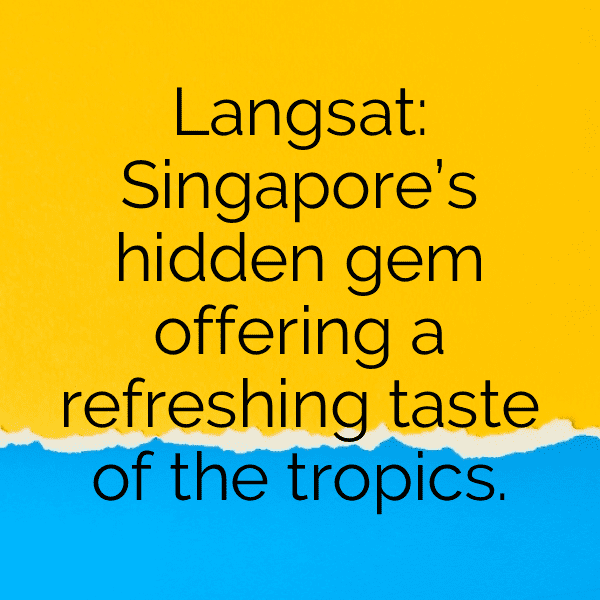 251+ Langsat Captions For Instagram In 2025 15 Langsat Captions Photo For Instagram-UYmFor