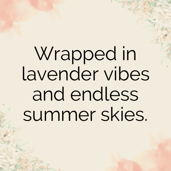 337+ Lavender Captions For Instagram In 2025 10 Lavender Captions Image For Instagram-GIuccE