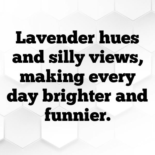 337+ Lavender Captions For Instagram In 2025 6 Lavender Captions Photo For Instagram-BmmV1i