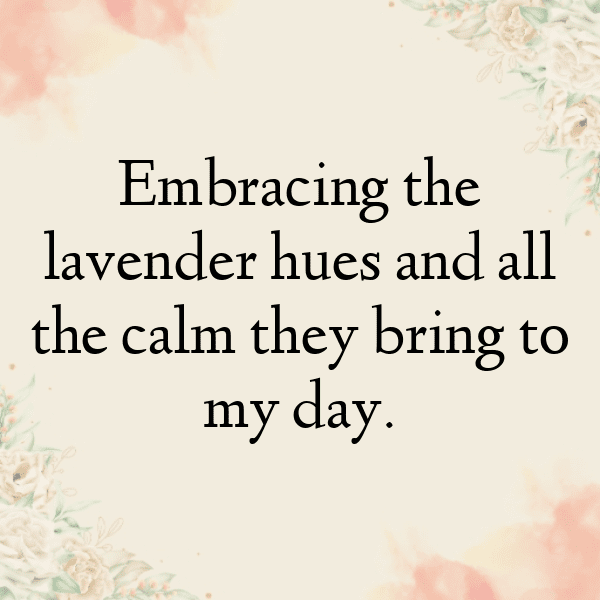 337+ Lavender Captions For Instagram In 2025 5 Lavender Captions Photo For Instagram-oXlvTX